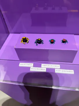 特別展「超危険生物展　科学で挑む生き物の本気」に投稿された画像（2026/6/6）