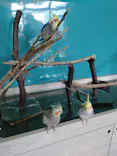 Moff animal cafe iias つくば店に投稿された画像（2026/6/6）