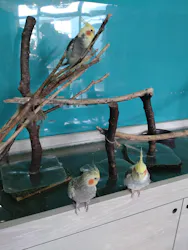 Moff animal cafe iias つくば店に投稿された画像（2026/6/6）