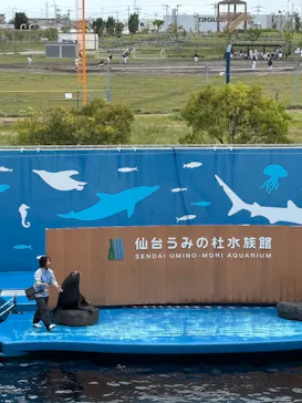 仙台うみの杜水族館に投稿された画像（2026/6/6）