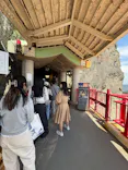 江の島岩屋に投稿された画像（2026/6/6）