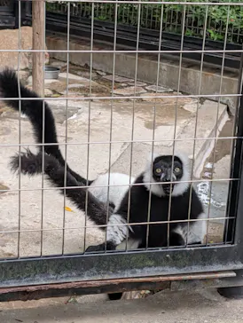 千葉市動物公園に投稿された画像（2026/6/6）