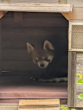 千葉市動物公園に投稿された画像（2026/6/6）