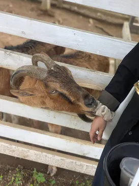 千葉市動物公園に投稿された画像（2026/6/6）
