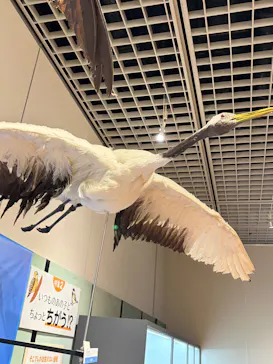 ミュージアムパーク茨城県自然博物館に投稿された画像（2026/6/6）