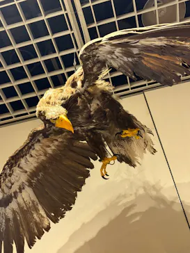 ミュージアムパーク茨城県自然博物館に投稿された画像（2026/6/6）
