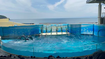 新江ノ島水族館に投稿された画像（2026/6/6）