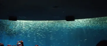 名古屋港水族館に投稿された画像（2026/6/6）
