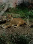 名古屋市東山動植物園に投稿された画像（2026/6/6）