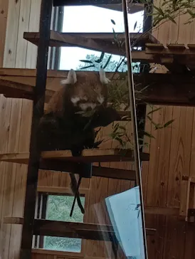 名古屋市東山動植物園に投稿された画像（2026/6/6）