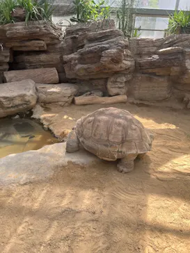 恩賜上野動物園に投稿された画像（2026/6/6）