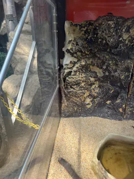 恩賜上野動物園に投稿された画像（2026/6/6）