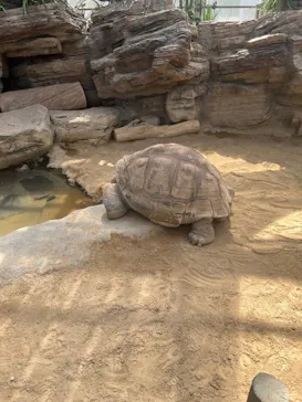 恩賜上野動物園に投稿された画像（2026/6/6）