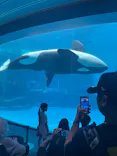 名古屋港水族館に投稿された画像（2026/6/6）