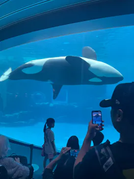 名古屋港水族館に投稿された画像（2026/6/6）
