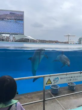 名古屋港水族館に投稿された画像（2026/6/6）