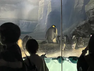 名古屋港水族館に投稿された画像（2026/6/6）