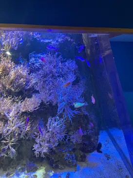 名古屋港水族館に投稿された画像（2026/6/6）