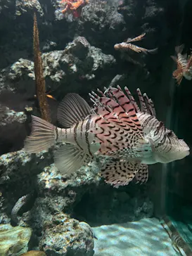 名古屋港水族館に投稿された画像（2026/6/6）