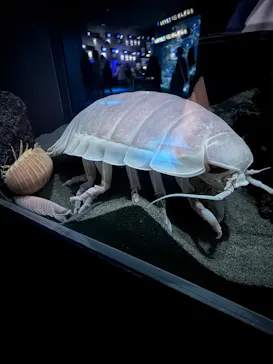 サンシャイン水族館に投稿された画像（2026/6/6）