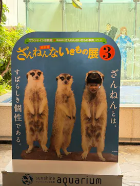 サンシャイン水族館に投稿された画像（2026/6/6）