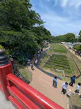 小田原城に投稿された画像（2026/6/6）
