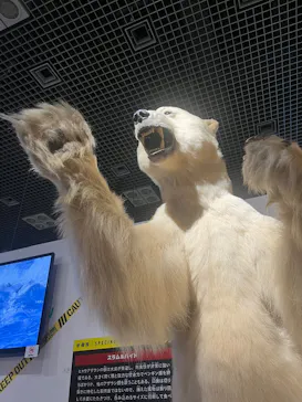 特別展「超危険生物展　科学で挑む生き物の本気」に投稿された画像（2026/6/6）