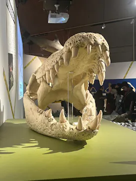 特別展「超危険生物展　科学で挑む生き物の本気」に投稿された画像（2026/6/6）