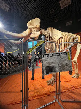 特別展「超危険生物展　科学で挑む生き物の本気」に投稿された画像（2026/6/6）