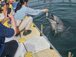 日間賀島ドルフィンビーチに投稿された画像（2026/6/6）
