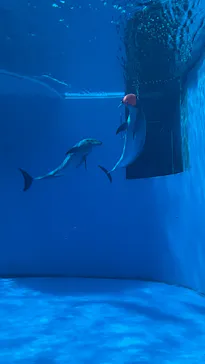 上越市立水族博物館 うみがたりに投稿された画像（2026/6/6）