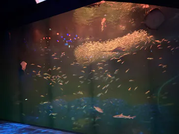アクアワールド茨城県大洗水族館に投稿された画像（2026/6/6）
