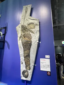 大絶滅展ー生命史のビッグファイブ（名古屋会場）に投稿された画像（2026/6/6）