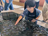 新江ノ島水族館に投稿された画像（2026/6/6）