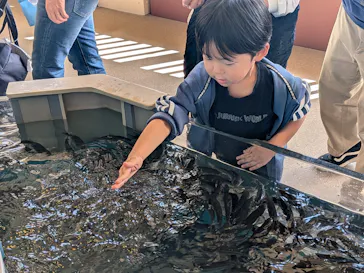 新江ノ島水族館に投稿された画像（2026/6/6）