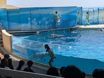 新江ノ島水族館に投稿された画像（2026/6/6）