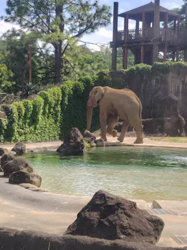 多摩動物公園に投稿された画像（2026/6/6）