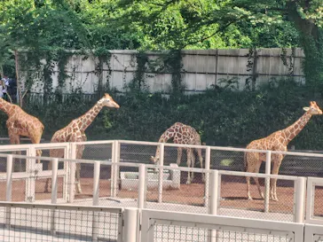 多摩動物公園に投稿された画像（2026/6/6）