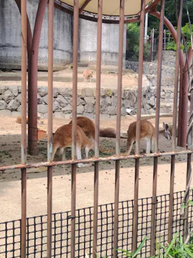 多摩動物公園に投稿された画像（2026/6/6）