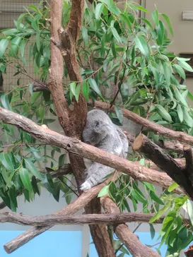 多摩動物公園に投稿された画像（2026/6/6）