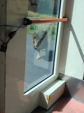多摩動物公園 ライオンバス乗車券に投稿された画像（2026/6/6）
