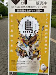 特別展「鳥 ～ゲノム解析が解き明かす新しい鳥類の系統～」に投稿された画像（2026/6/6）