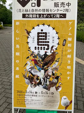 特別展「鳥 ～ゲノム解析が解き明かす新しい鳥類の系統～」に投稿された画像（2026/6/6）