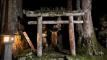 奥之院ナイトツアーに投稿された画像（2026/6/6）