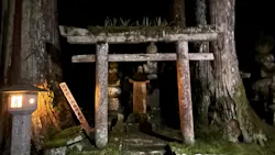奥之院ナイトツアーに投稿された画像（2026/6/6）