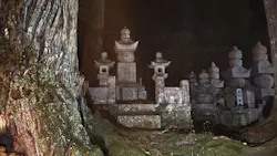 奥之院ナイトツアーに投稿された画像（2026/6/6）