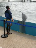 京都水族館に投稿された画像（2026/6/6）