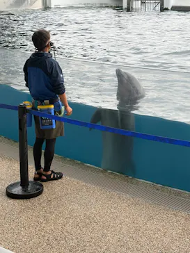 京都水族館に投稿された画像（2026/6/6）