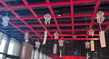 京都水族館に投稿された画像（2026/6/6）