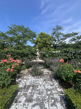 EnglishGardenローザンベリー多和田に投稿された画像（2026/6/6）